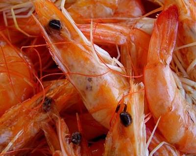 Estudo revela que cascas de camarão podem conservar vinhos, vinagres e sumos