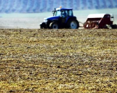Estudo revela que setor agrícola português comporta risco elevado de exploração laboral