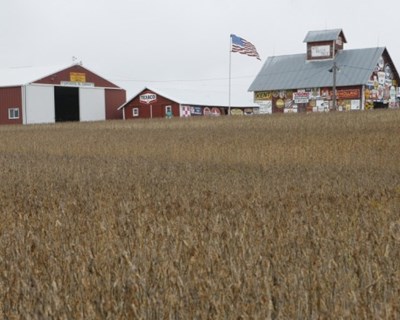 EUA: agricultores exigem indemnização para áreas não semeadas
