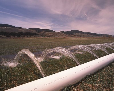 Expansão global da irrigação poderia alimentar mais 800 milhões de pessoas