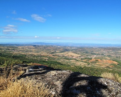 Expo Trás-os-Montes 2015: a montra empresarial da região chega no final de maio