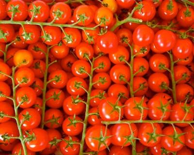 Exportação de frutas e legumes rende mais 58,5 milhões do que em 2015