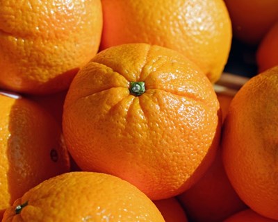 Exportações de frutas e produtos hortícolas aumentam 26% em 2017