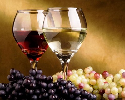 Exportações de vinhos portugueses crescem 1,1% em 2014