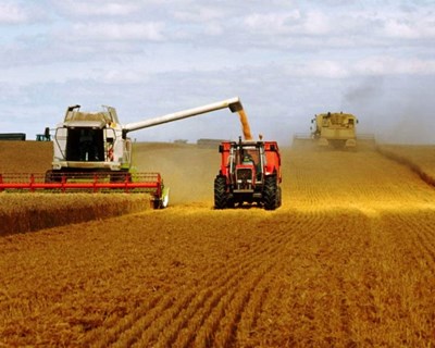 FAO: índice de preços alcança nível mais baixo dos últimos cinco anos