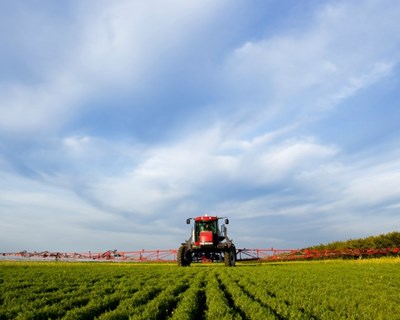 FAO lança livro sobre ações integradas de sustentabilidade agrícola