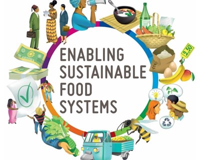 FAO publica manual do inovador em sistemas alimentares sustentáveis