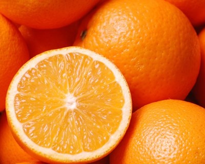 Faro debate laranja do Algarve