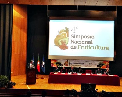 Faro: o futuro da Fruticultura Nacional em análise