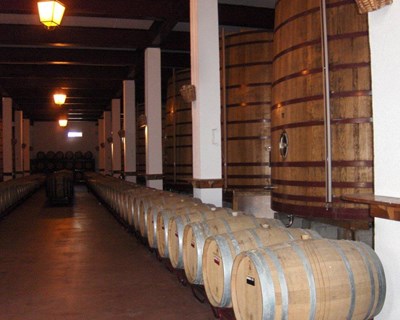 Favaios eleito um dos melhores locais para degustar vinhos no Douro