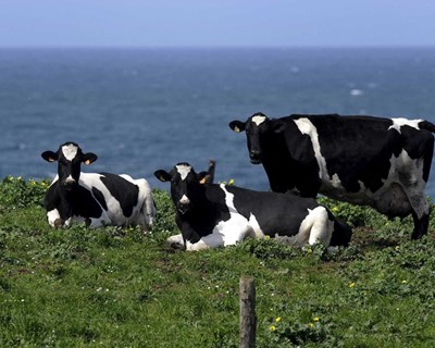 FENAPECUÁRIA defende valorização agrícola e a proteção dos profissionais do setor