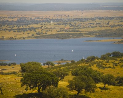 FENAREG alerta para as consequências de uma seca que afetará milhares de hectares