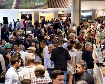 Festival do Vinho do Douro Superior recebeu recorde de visitantes