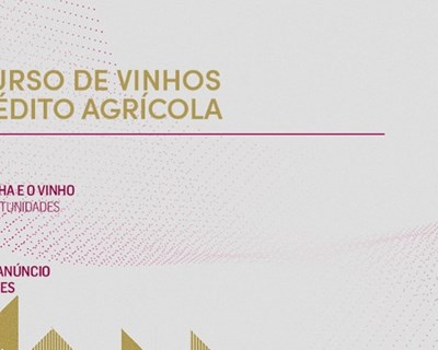 Final do Concurso de Vinhos do Crédito Agrícola acontece em janeiro