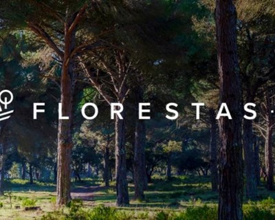 Florestas.pt realiza sessões de formação digital na temática da floresta