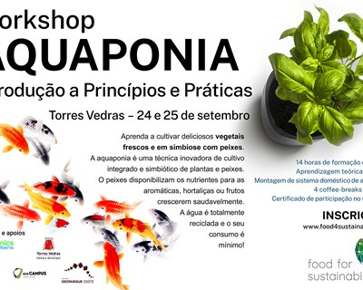 Food4Sustainability promove workshop de aquaponia, em setembro