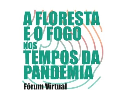 ForestWISE realiza fórum virtual sobre a floresta e o fogo em tempos da pandemia