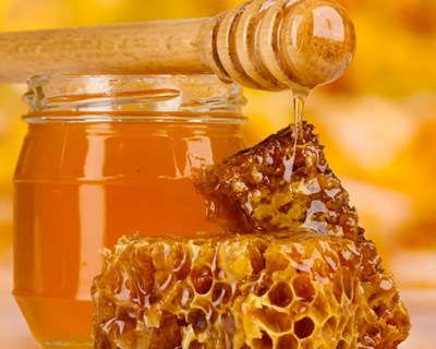 Fórum Nacional da Apicultura com feiras de mel e de inovação apícola