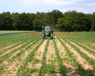 França: agricultores pedem €3 mil milhões para o setor