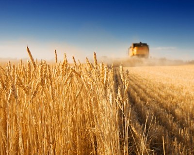 França avança com ajuda especial para seguro de colheita