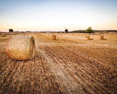 França: há forte queda no rendimento agrícola