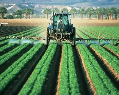 França: pesticidas detetados em hortícolas