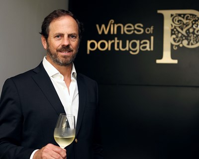 Frederico Falcão reeleito presidente da ViniPortugal