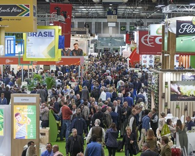 Fruit Attraction 2019: Evento consolida-se como referência mundial para o setor da hortofruticultura