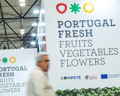 Frutas, legumes e flores portugueses atingem os 2300 milhões de euros de exportações
