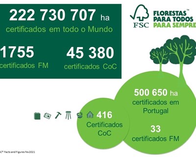 FSC® atinge o marco de meio milhão de hectares certificados em Portugal