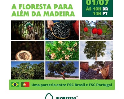 FSC® organiza “A Floresta para além da madeira”