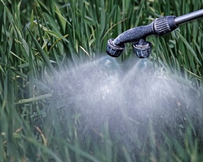 Glifosato: Governo vai proibir uso de pesticidas em locais públicos