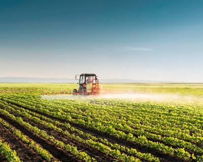 Governo abriu concursos de €80 milhões para investimento na agricultura e agroindústria