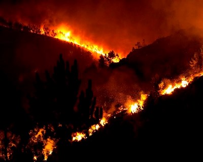 Governo alerta para o risco de incêndios florestais face às altas temperaturas