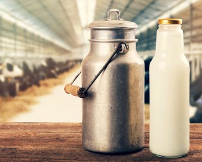 Governo anuncia medidas de reforço ao setor do leite