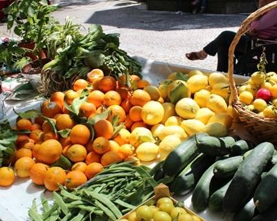 Governo aprova constituição de mercados locais de produtores