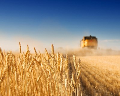 Governo aprova novo sistema de seguros agrícolas