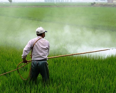 Governo avalia contratação de trabalhadores estrangeiros para agricultura