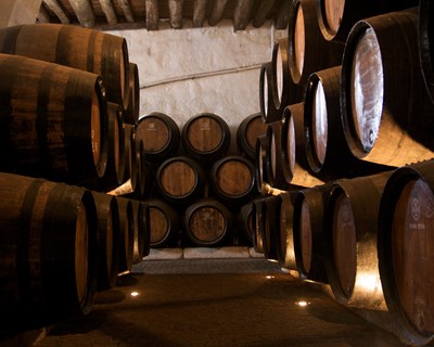 Governo cria reserva qualitativa para o Vinho do Porto no valor de 5 milhões de euros