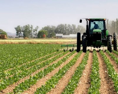 Governo disponibiliza mais 17,5 milhões de euros para apoio ao investimento agrícola