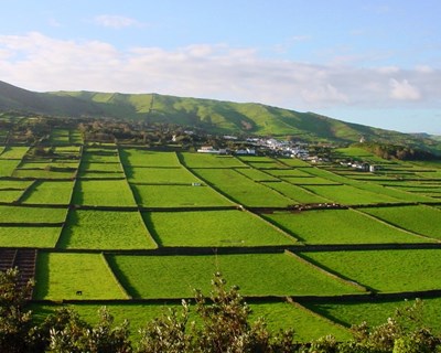 Governo dos Açores viabiliza reformas antecipadas de agricultores
