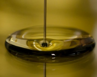 Governo garante que medida de amarzenamento de azeite não é problema