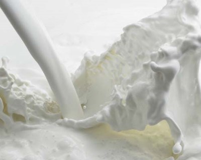 Governo pediu autorização à Comissão Europeia para rotulagem de produtos lácteos