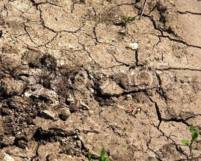Governo prepara plano desde 2012 para prevenir seca