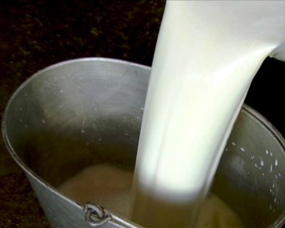 Governo quer criar fundo de estabilização do rendimento para o setor do leite