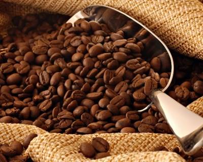 Governo timorense reforça produção de café