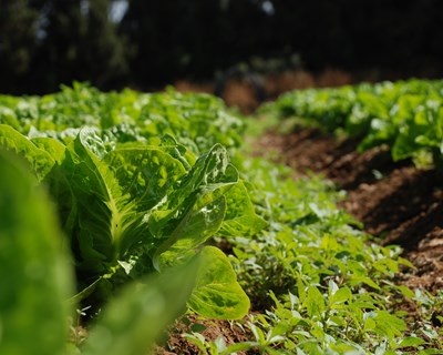 GPP debate o Modelo Agrícola na PAC para 2030 no IX Congresso da APDEA