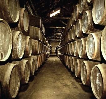 Grambeira: a marca do Douro Superior reconhecida nos “Vinhos de Portugal 2016”