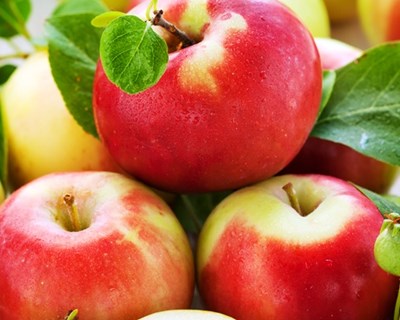 Greenpeace denuncia: há maçãs com pesticidas na grande distribuição
