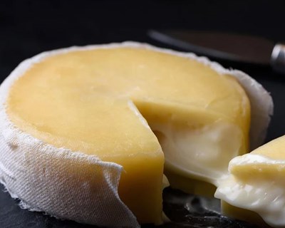 Grupo Focal “Utilização de inóculos autóctones em queijarias tradicionais”
